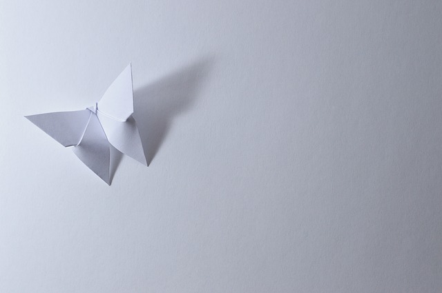 origami motýl