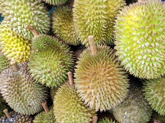 plody durianu