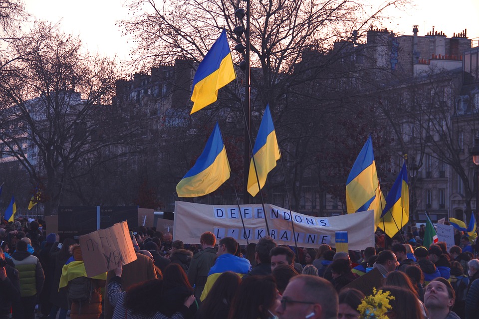 Divoká politika